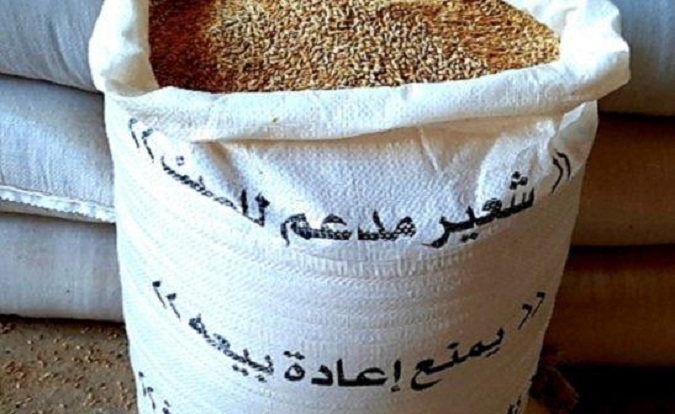 رئيس النقابة الجهوية للفلاحين ببنزرت لـ"الصباح ":  الزيادة في سعر الشعير المدعم  قصمت ظهر مربي الماشية